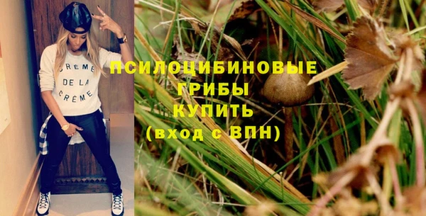 каннабис Богданович