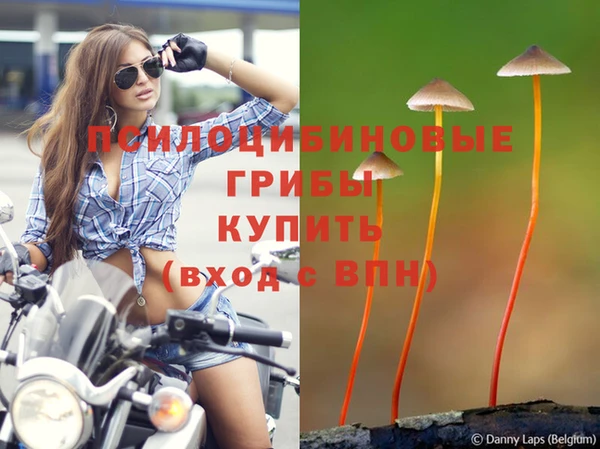 марки lsd Саяногорск