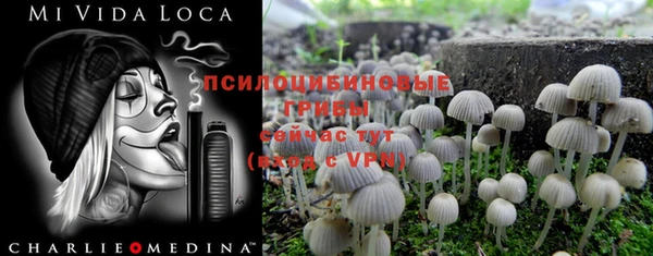 каннабис Богданович