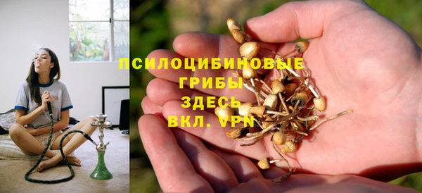 ECSTASY Богородск