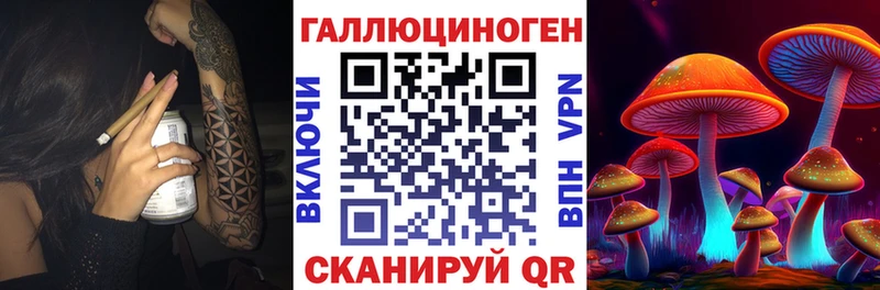 мориарти телеграм  Кириши  Псилоцибиновые грибы прущие грибы 